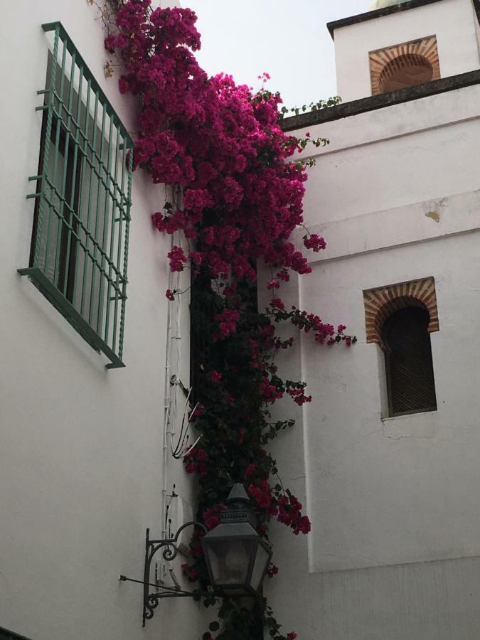 La Hoguera Córdoba